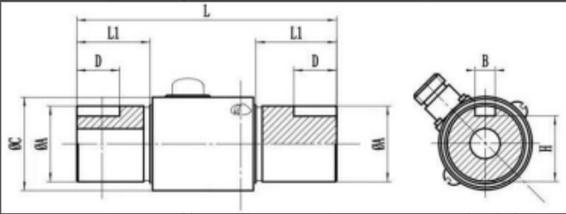 torque load cell 4